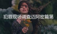 犯罪现场调查迈阿密篇第十季这样理解正确吗?